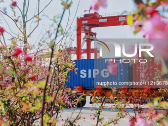 The Taicang International Pier at the Taicang Port is surrounded by flowers in full bloom in Suzhou, Jiangsu Province, China, on March 9, 20...