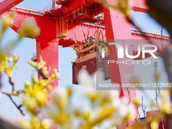 The Taicang International Pier at the Taicang Port is surrounded by flowers in full bloom in Suzhou, Jiangsu Province, China, on March 9, 20...