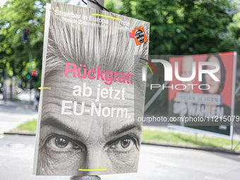 Election campaign posters of the Free Democratic Party (FDP) featuring FDP candidate Marie-Agnes Strack-Zimmermann, which read: ''Backbone:...