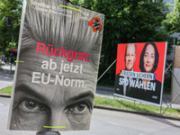 Election campaign posters of the Free Democratic Party (FDP) featuring FDP candidate Marie-Agnes Strack-Zimmermann, which read: ''Backbone:...
