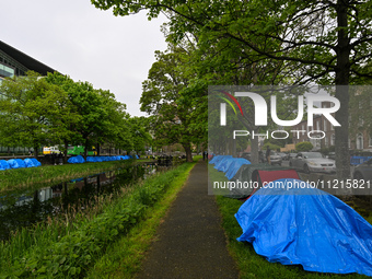 DUBLIN, IRELAND - MAY 6:
Tents continue to multiply along the Grand Canal in Dublin each passing day, on May 6, 2024, in Dublin, Ireland.
Fo...