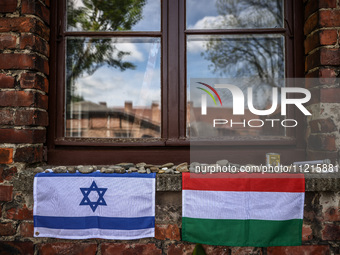Israeli and Hungarian flags are seen during the 36th anniversary of 'International March of the Living' at the former Nazi-German Auschwitz...