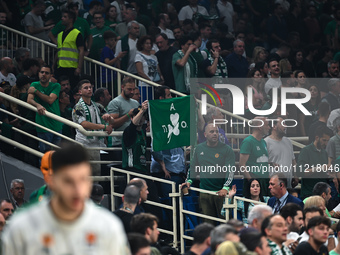 Panathinaikos Athens supporters are enjoying themselves during the Euroleague Playoff D, Game 5, between Panathinaikos Athens and Maccabi Pl...