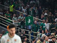 Panathinaikos Athens supporters are enjoying themselves during the Euroleague Playoff D, Game 5, between Panathinaikos Athens and Maccabi Pl...