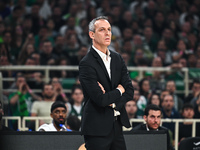 Head Coach Oded Kattash of Maccabi Playtika Tel Aviv is coaching during the Euroleague, Playoff D, Game 5, match between Panathinaikos Athen...