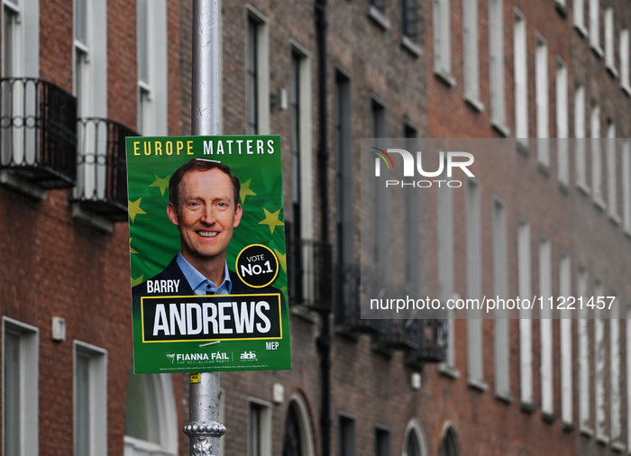 EU Election Campaign Kicks Off With First Posters In Dublin