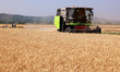 A farmer is driving a harvester to harvest wheat in a field in Zaozhuang, China, on May 24...