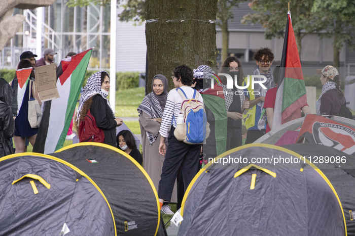 Students Protest At Eindhoven University For Palestine
