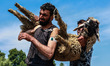 Shepherds are taking sheep towards the river Jhelum for cleaning purposes before selling t...