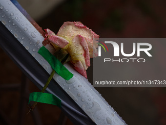 A pink rose is being pasted with tape to decorate the venue as rain is delaying yoga on the 10th International Yoga Day Celebrations in Bara... by Nasir Kachroo/NurPhoto