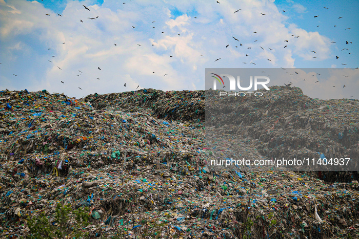 Unscientific Waste Turns Wetland Into Wasteland, Raising Health Concerns