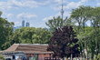 The CN Tower is appearing above the treetops from Centre Island in Toronto, Ontario, Canad...