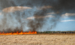 Protesters are walking past a wildfire started by a launched tear gas canister during a ma...