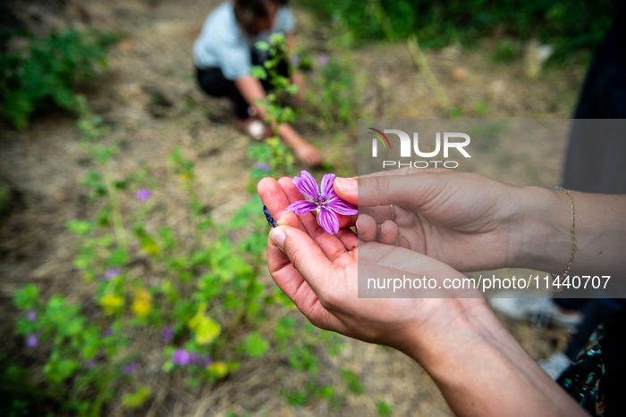 Paris Gets Greener For The Olympics