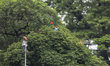The Anti-Discrimination Student Movement is holding a rally at Central Shaheed Minar in Dh...