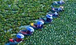 Villagers are harvesting a ripe water chestnut in a pond in the village of Chahe town near...