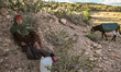 An elderly rural woman lies on the ground at a drinking water point in the isolated rural...