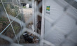 On April 13 2016, in the Moria camp, located on Mytilene on the Lesbos island, thousands o...