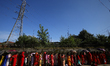 Nepali Hindu women stand in queue to perform rituals at a Shiva temple in Kathmandu, Nepal...