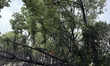 Fallen trees are seen during heavy winds and rain as Typhoon Bebika makes landfall in Shan...