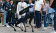 A robot dog walks at Media Park on the second day of Deutsche Telekom's Digital X event in...