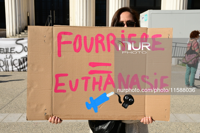 Protesters For The Sterilization Of Stray Cats In Villeurbanne