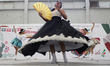 Members of the Ballet Folklorico de Mexico de Colores perform in the Tlahuac municipality...