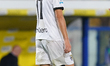 Pontus Almqvist of Parma Calcio is in action during the Serie A match between Lecce and Pa...