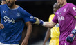 Jordan Pickford #1 (GK) of Everton F.C. and Dominic Calvert-Lewin #9 of Everton F.C. durin...