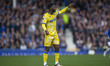 Jefferson Lerma #8 of Crystal Palace F.C. during the Premier League match between Everton...