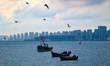Fishing boats return to the coast of Gujia Island, a new area on the west coast of Qingdao...
