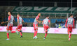 US Cremonese celebrates after scoring a goal during the Italian Serie B soccer championshi...