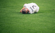 Alvaro Morata of AC Milan lies on the ground after getting tackled during the UEFA Champio...