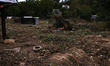Storm damage from Hurricane Helene is seen in Asheville, North Carolina on October 1, 2024...