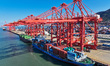 Cargo ships load and unload cargo at the New Oriental Container Terminal in Lianyungang Po...