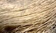 Vermicron noodles are for sale at a market in Qingdao, China, on October 3, 2024. 