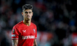 FC Twente defender Mees Hilgers plays during the match between Twente and Fenerbahce at th...
