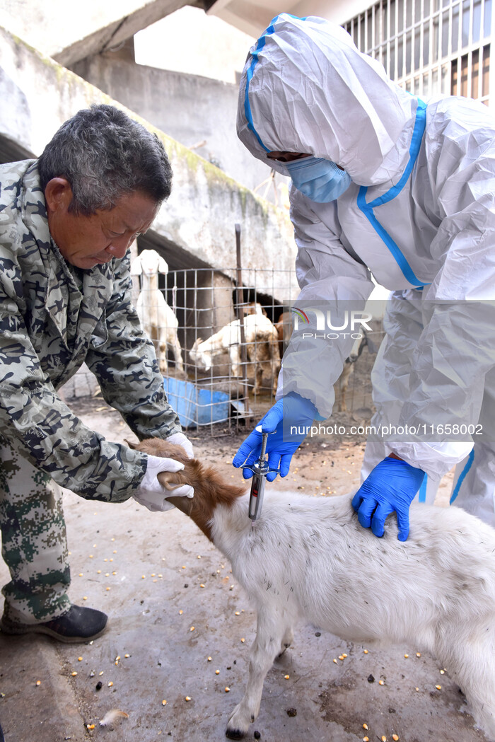 Livestock Epidemic prevention