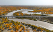 The photo taken on October 16, 2024, shows the autumn scenery of wetland populus euphratic...