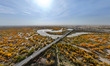 The photo taken on October 16, 2024, shows the autumn scenery of wetland populus euphratic...