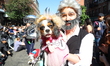 A dog and owner are country stars for the 34th Annual Tompkins Square Halloween Dog Parade...