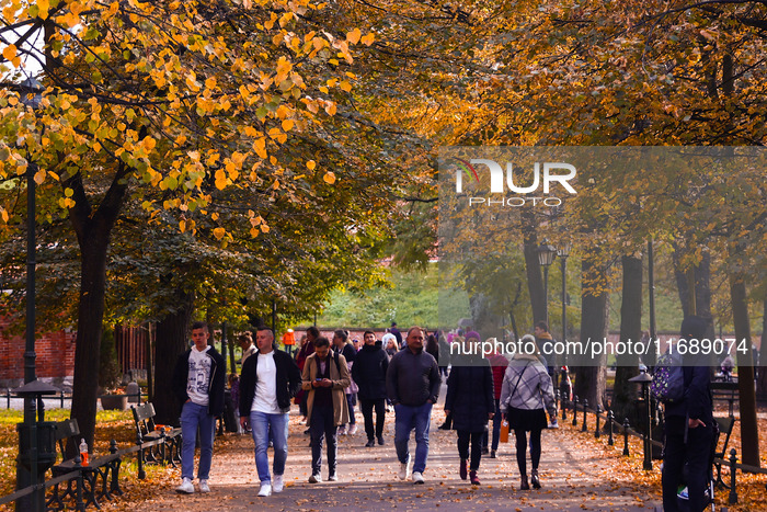 Sunny Autumn In Poland