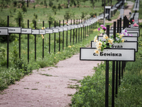 Hundred of crosses list the names of disappeared villages after the Chernobyl disaster, on June 12, 2013. The Chernobyl disaster was a catas...