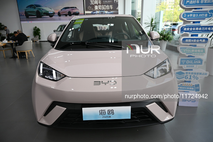 BYD Revenue Surpasses Tesla