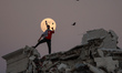 A Palestinian young man plays on top of a destroyed house near Salah al-Din Street as the...
