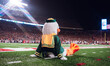 The Oregon Duck takes in the views at Camp Randall Stadium in Madison, Wisconsin, on Novem...