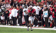 Wisconsin Badgers wide receiver Vinny Anthony II #8 catches a long pass against the Oregon...