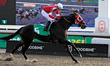 Jockey Eswan Flores rides Silent Miracle to a win in the second race at Woodbine Racetrack...
