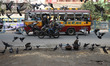 Pigeons fly while a passenger bus moves near a steel and iron wholesale market in Kolkata,...