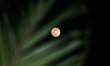 A view of full moon in Tehatta, INda, on December 15, 2024. 